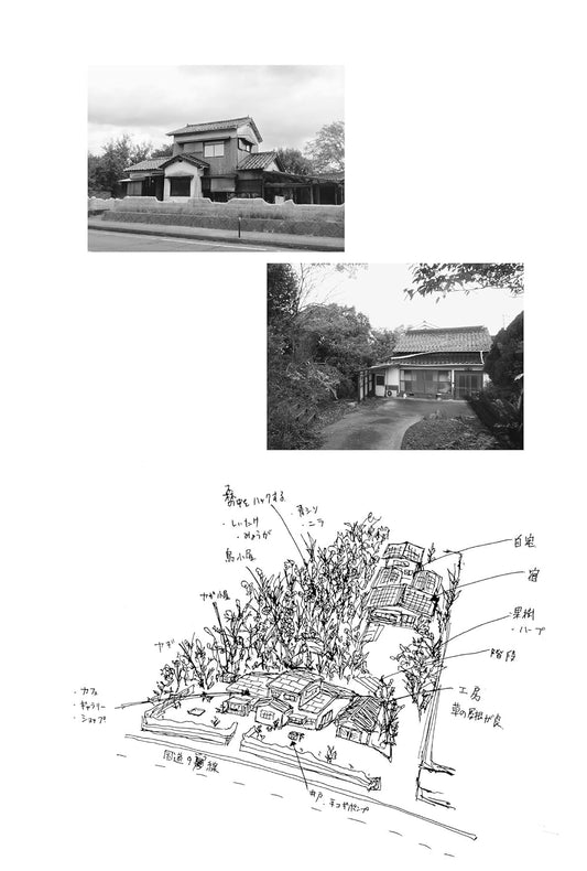 木ひっこぬいてたら、家にもらいました。