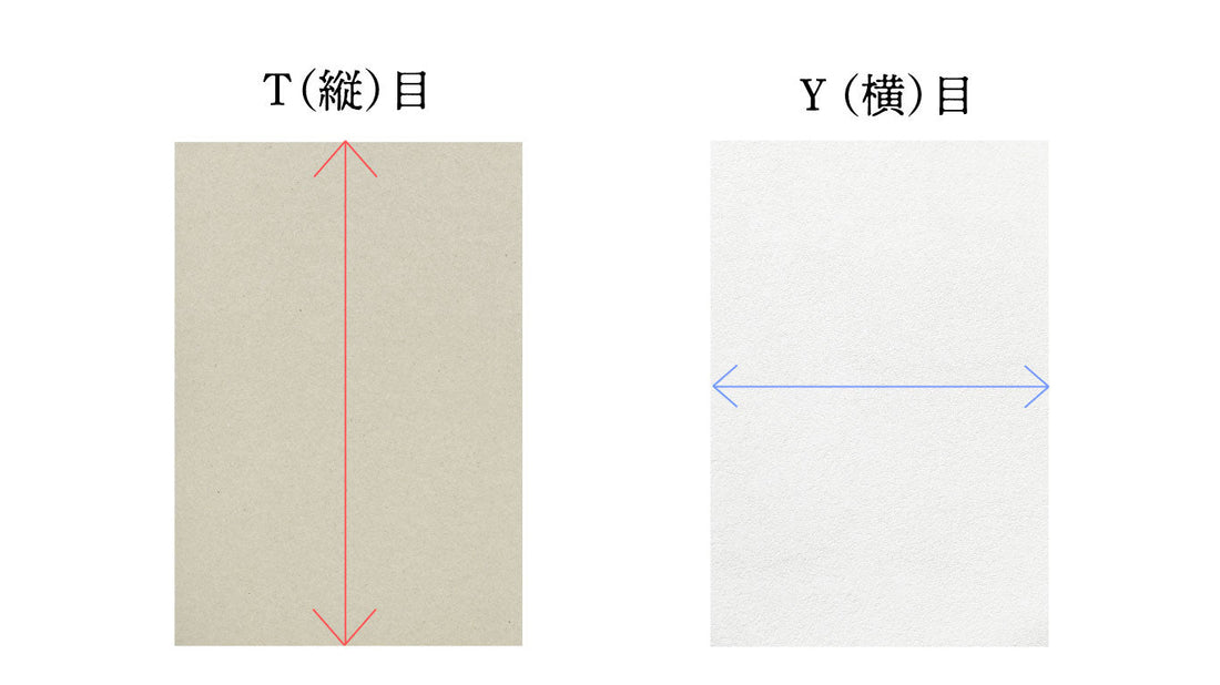 紙の縦目・横目とは。中綴じには横目（Y目）の紙を